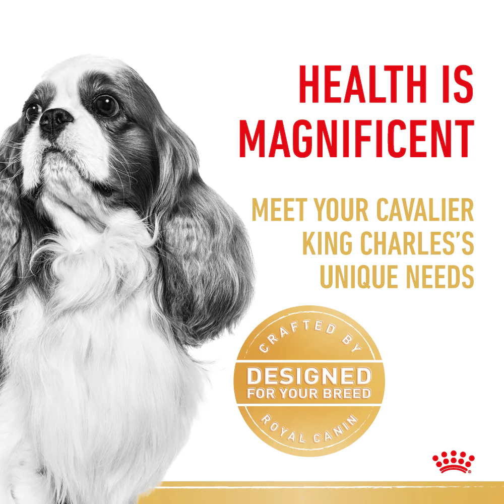 Royal Canin Cavalier King Charles Dry Dog Food - Image 3