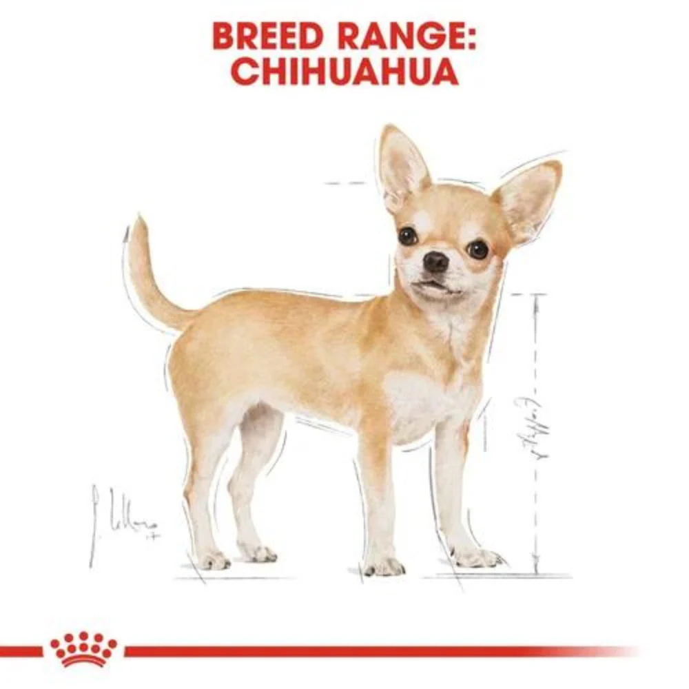 Royal Canin Chihuahua Wet Dog Food - Image 4