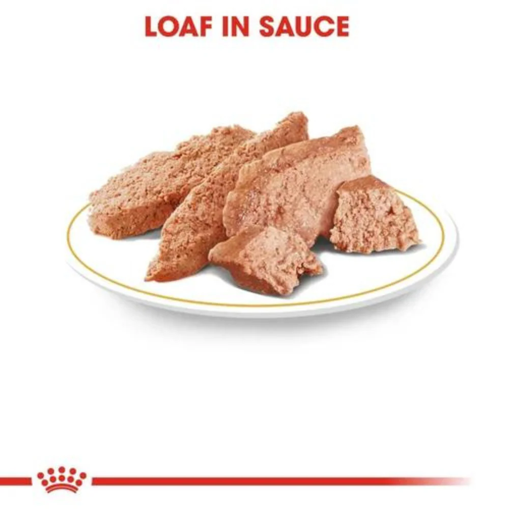 Royal Canin Chihuahua Wet Dog Food - Image 5