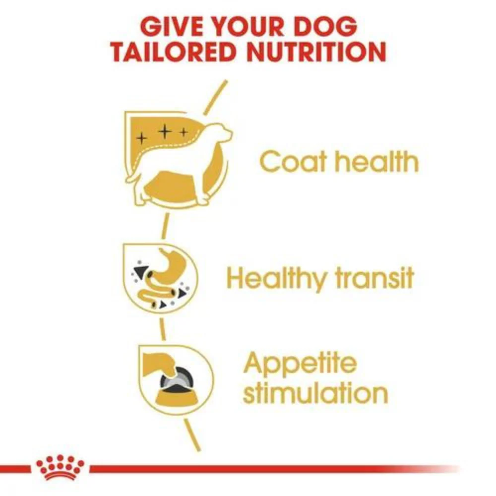 Royal Canin Chihuahua Wet Dog Food - Image 6