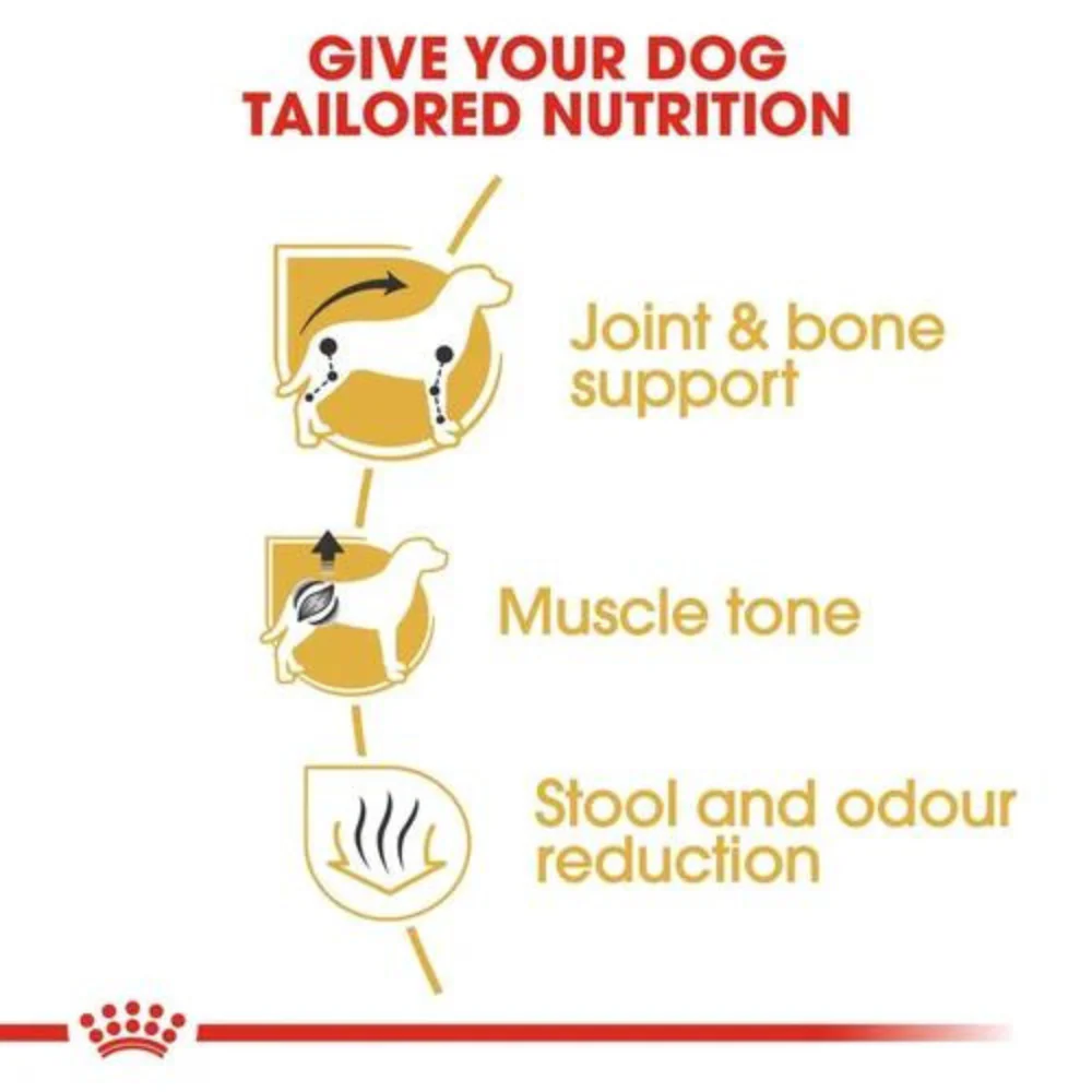 Royal Canin Dachshund Dry Dog Food - Image 5