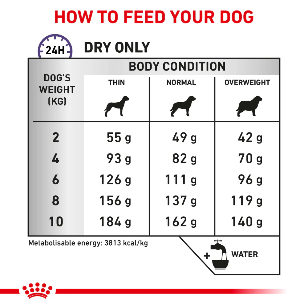 Royal Canin Veterinary Diet Dental Small Breed Dry Dog Food - Image 5