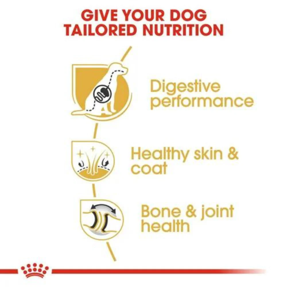 Royal Canin German Shepherd Dry Dog Food - Image 5