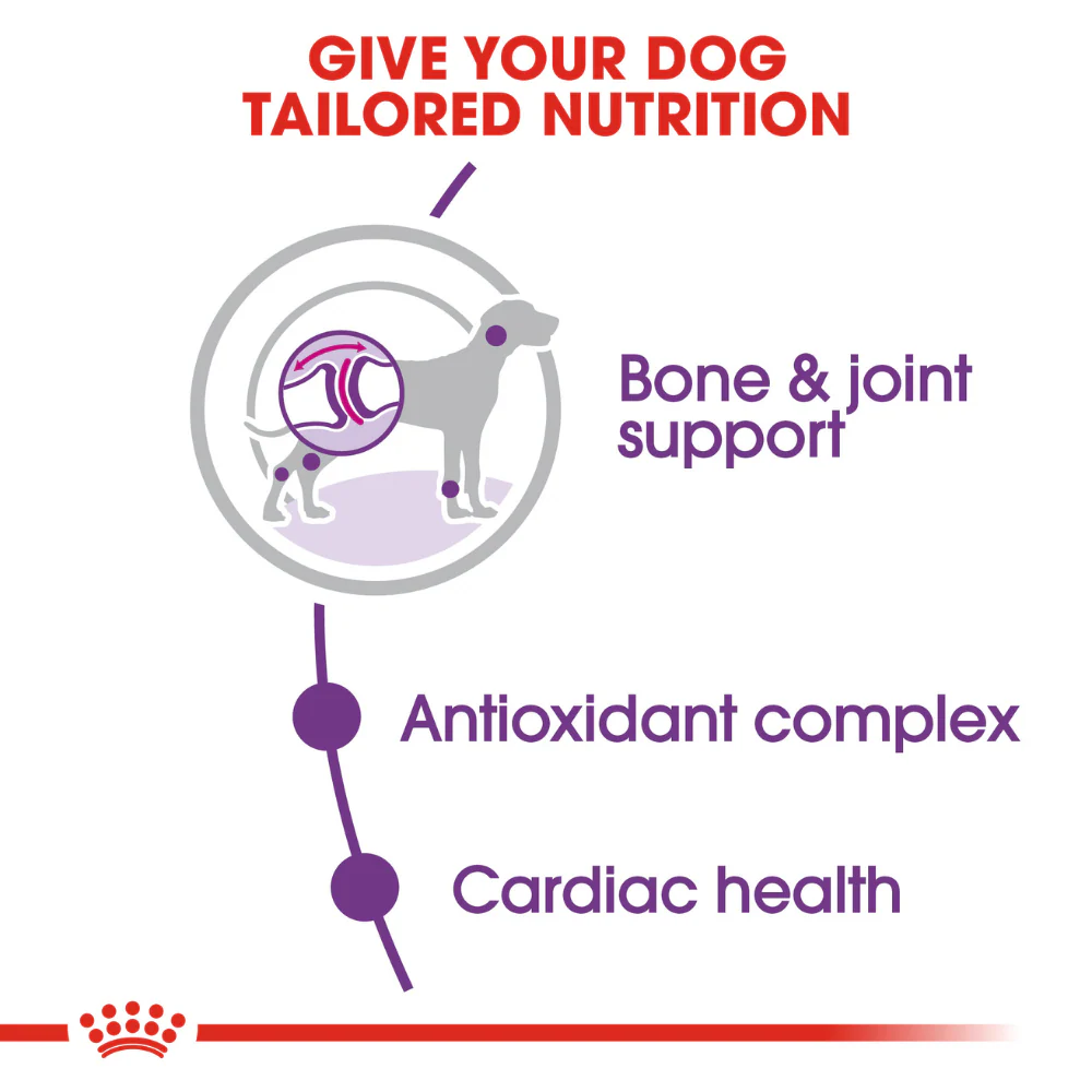 Royal Canin Giant Adult Dry Dog Food - Image 3