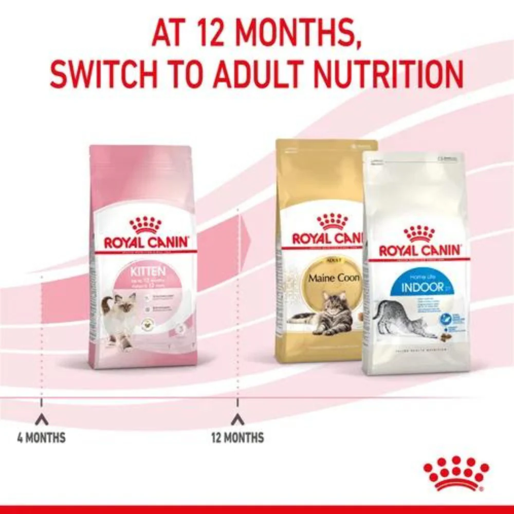 Royal Canin Kitten Dry Cat Food - Image 4