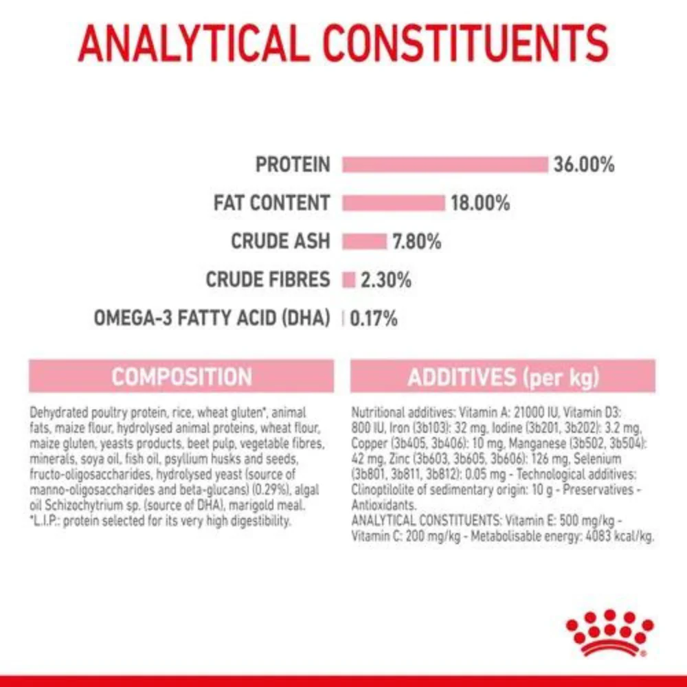 Royal Canin Kitten Dry Cat Food - Image 5