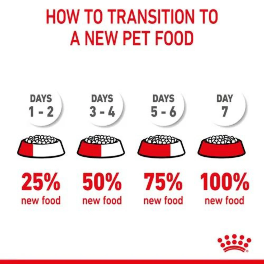 Royal Canin Kitten Dry Cat Food - Image 7