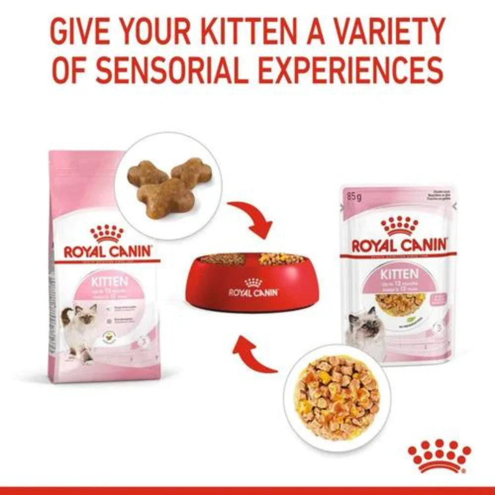 Royal Canin Kitten Wet Cat Food Pouches in Jelly - Image 7