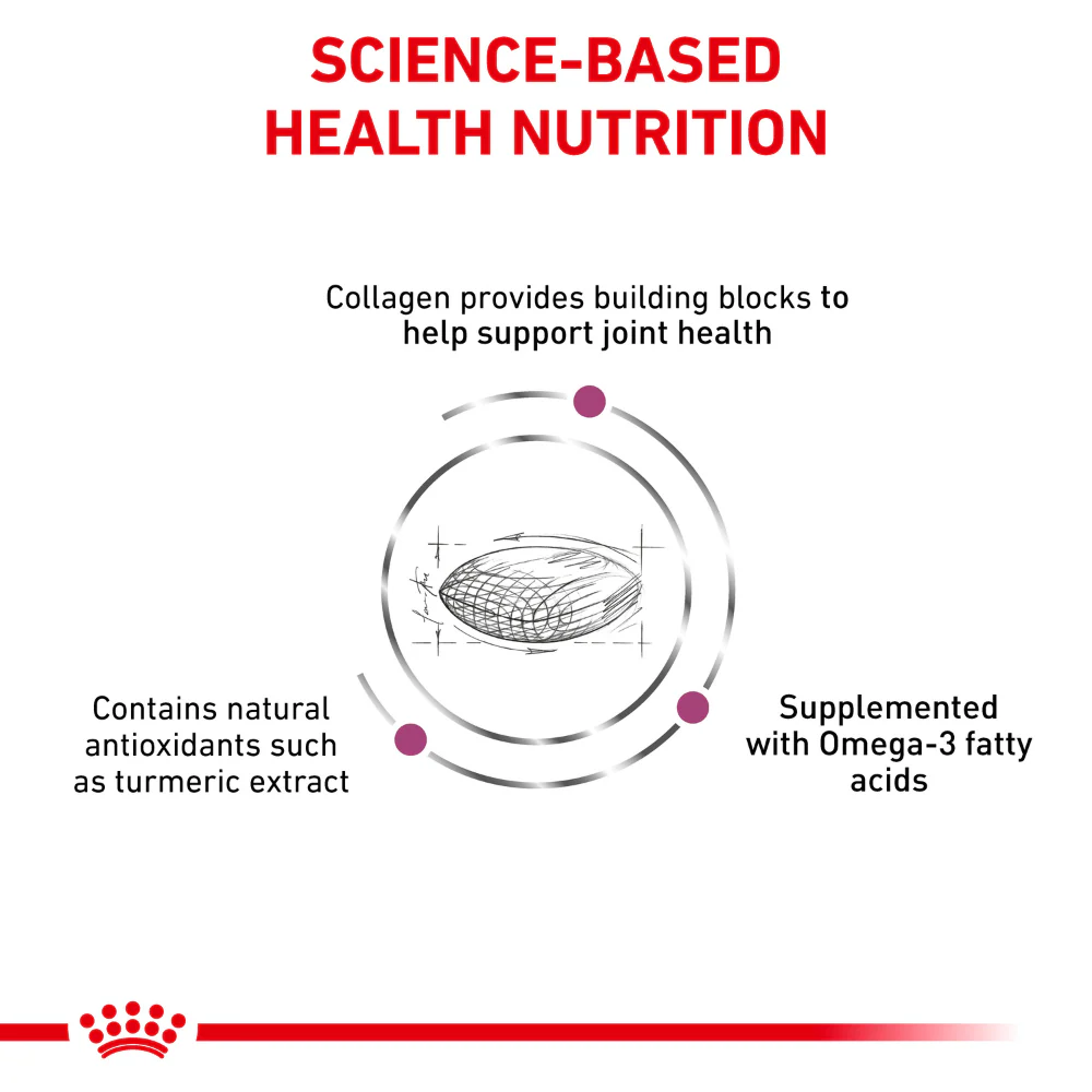 Royal Canin Veterinary Diet Mobility C2P+ Dry Dog Food - Image 3