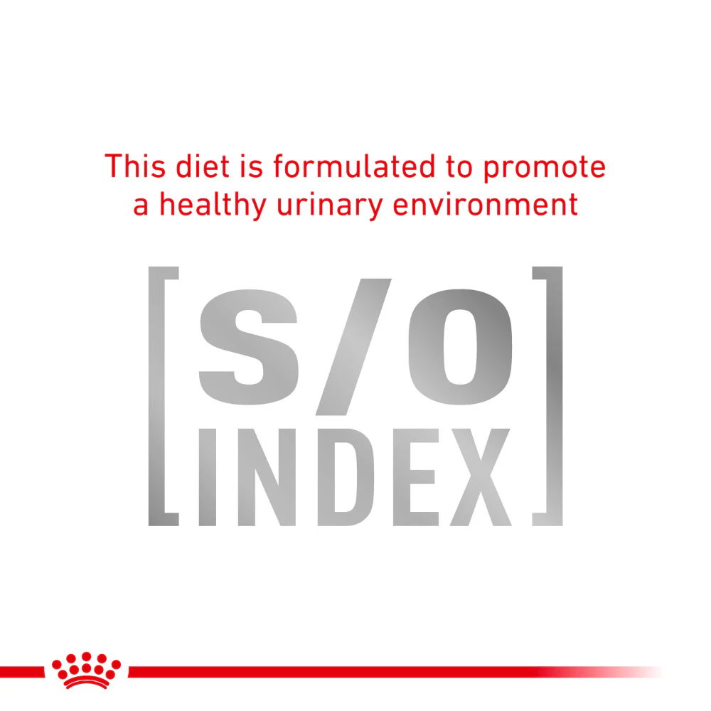 Royal Canin Veterinary Diet Mobility C2P+ Dry Dog Food - Image 5