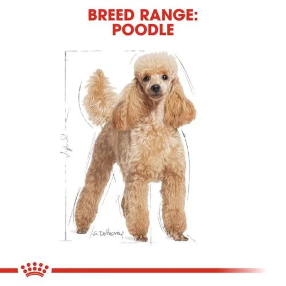 Royal Canin Poodle Dry Dog Food - Image 3