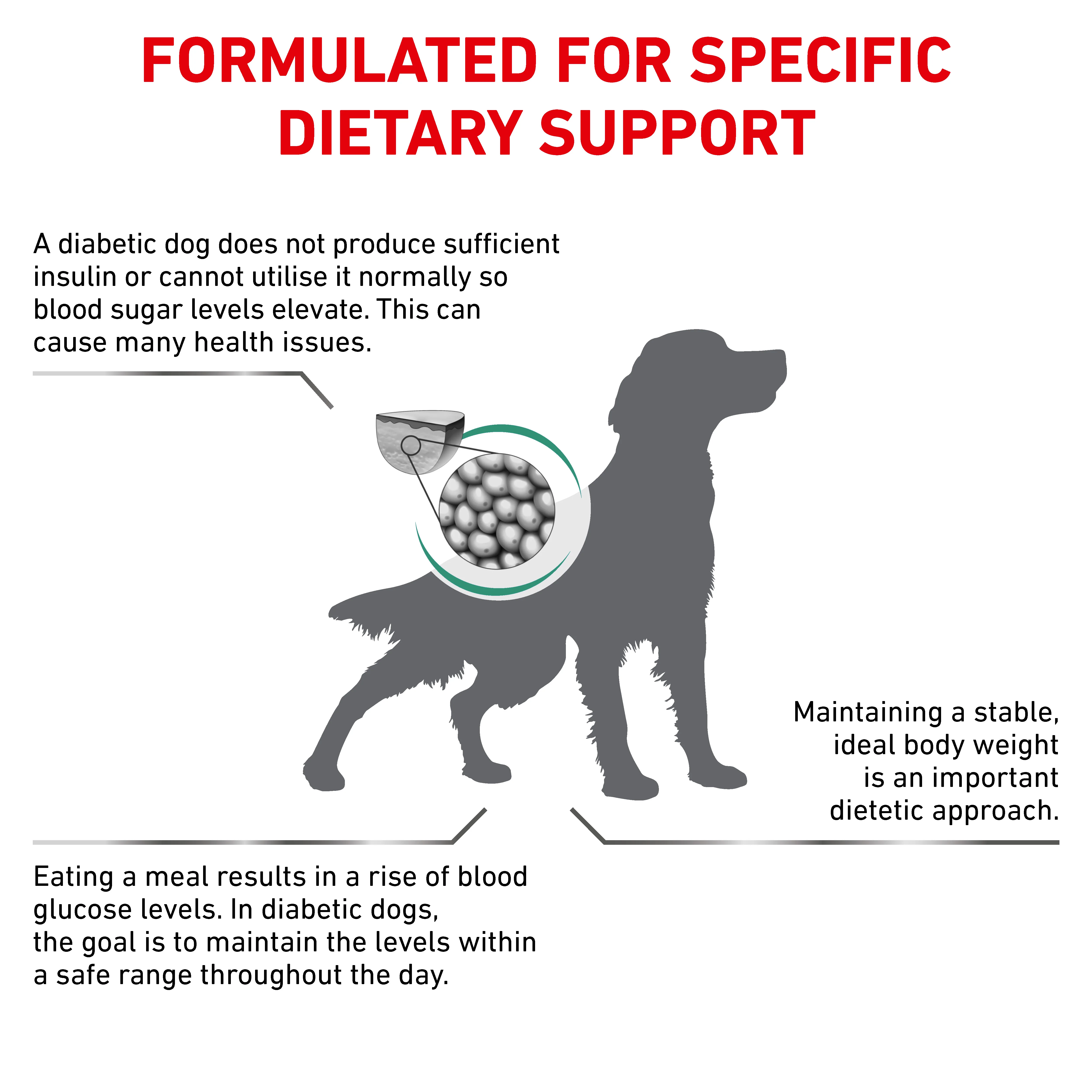 Royal Canin Veterinary Diet Diabetic Dry Dog Food - Image 4