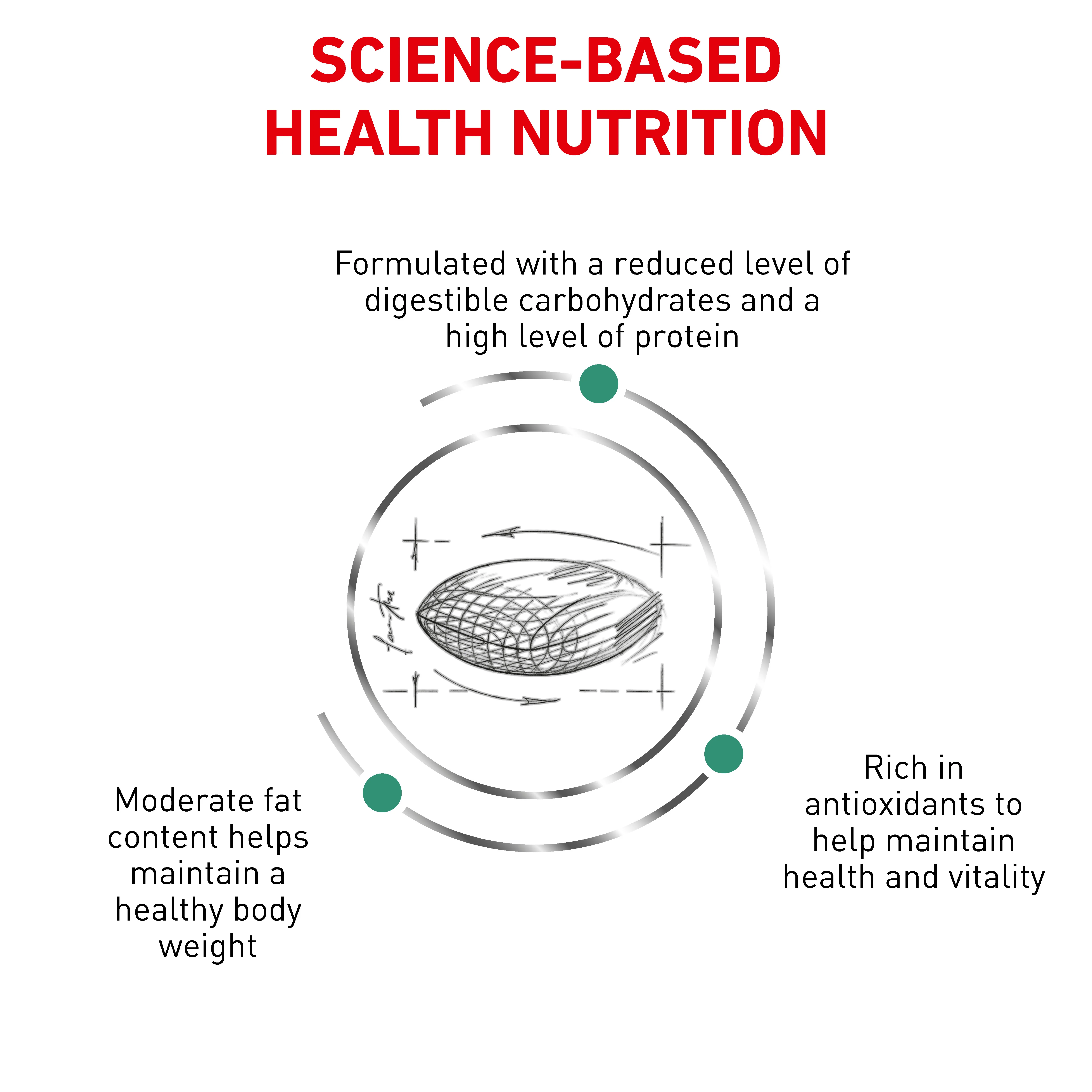 Royal Canin Veterinary Diet Diabetic Dry Dog Food - Image 5