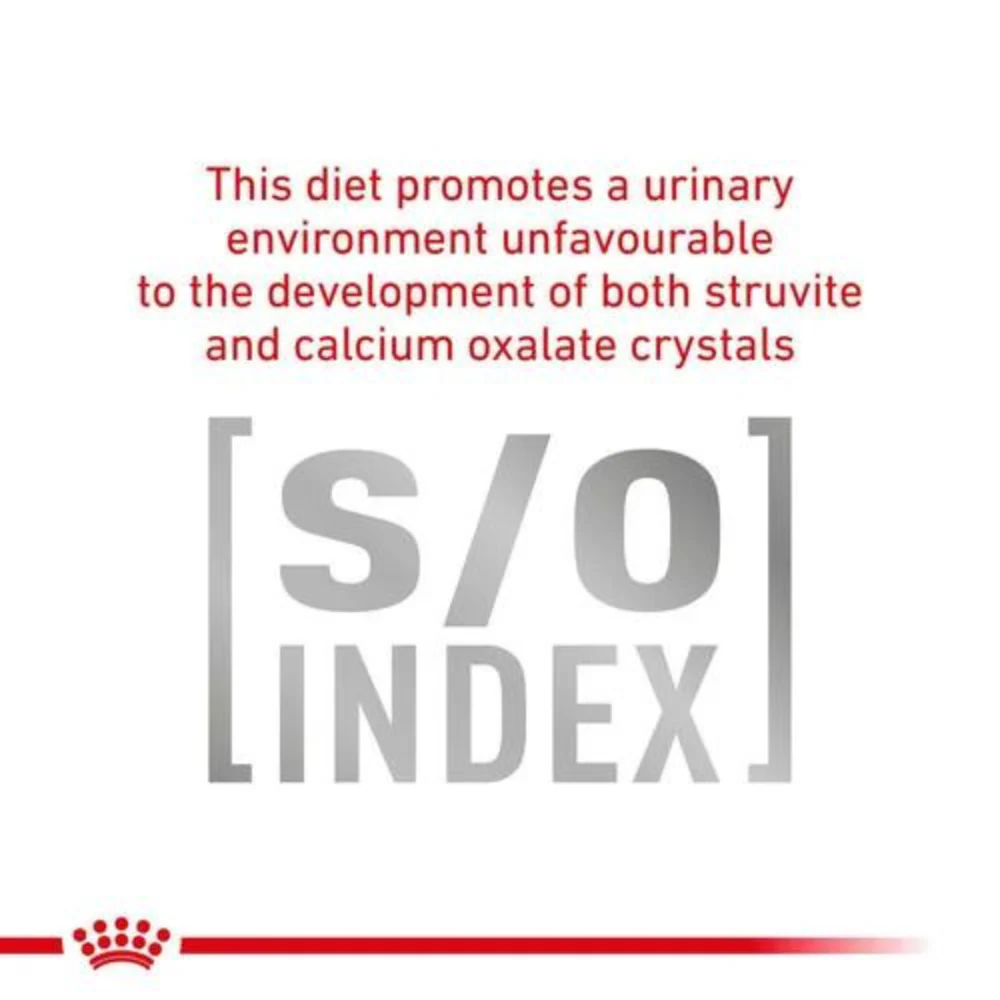 Royal Canin Veterinary Diet Gastrointestinal Wet Cat Food - Image 5