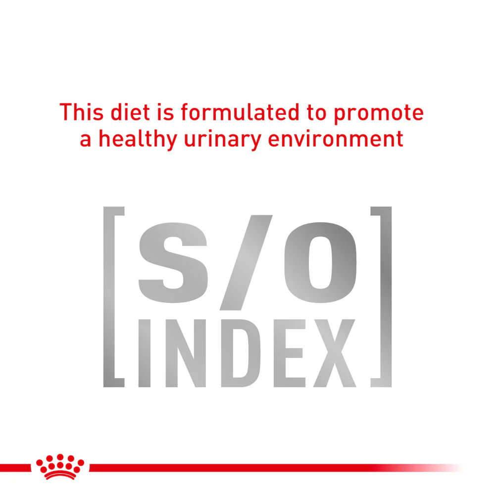 Royal Canin Veterinary Diet Skin Coat Wet Cat Food - Image 4